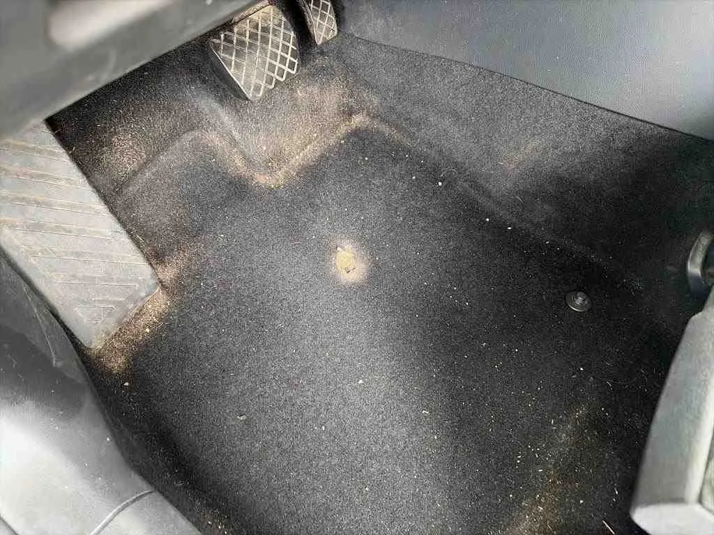 Volkswagen Passat — Tapete do piso