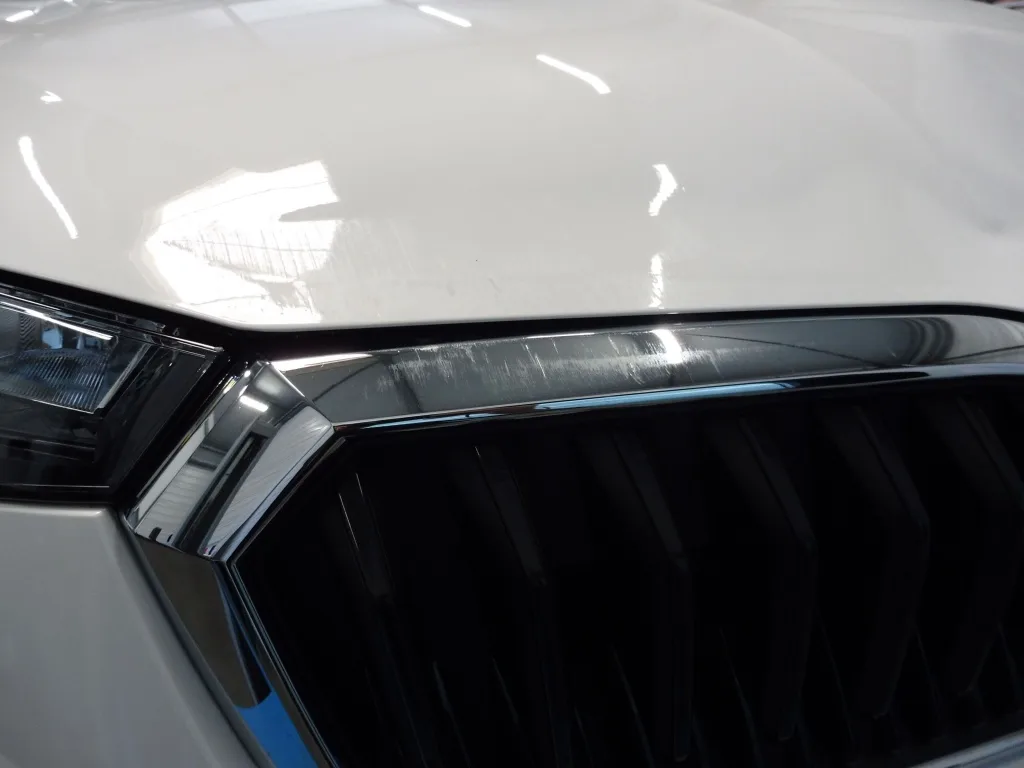 Skoda Scala — Grelha dianteira e aresta do capô