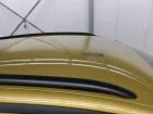 Volkswagen ID.4 — Teto